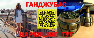 амф Гусев