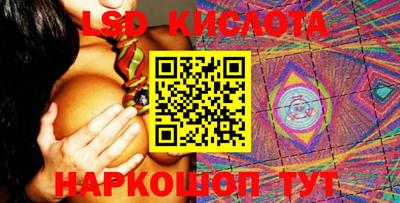 амф Гусев