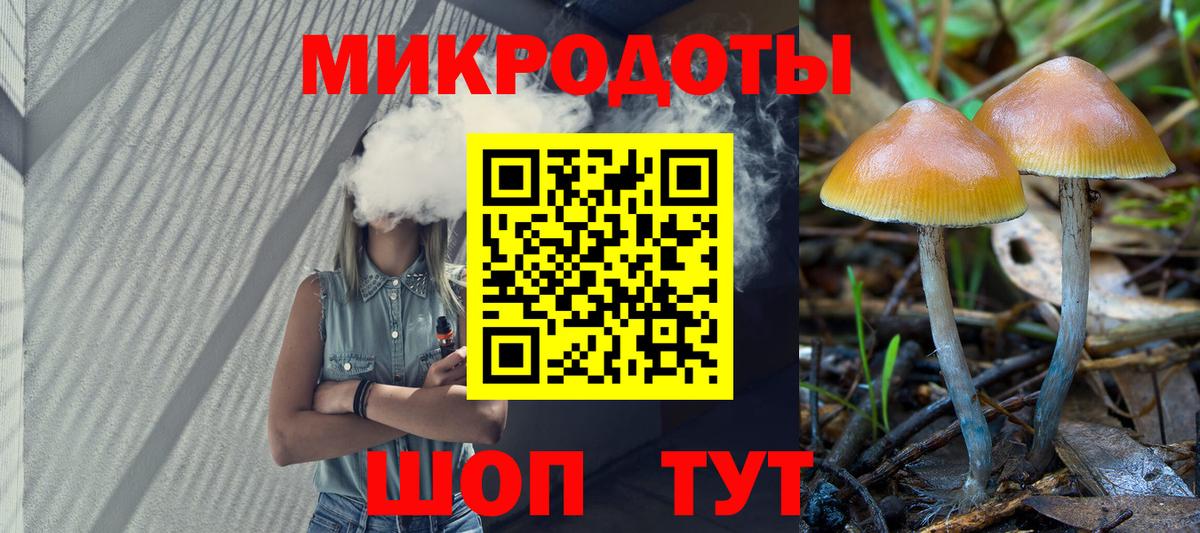 Галлюциногенные грибы Magic Shrooms  Вход с VPN  Псилоцибиновые грибы мицелий  цены наркотик  Новочеркасск 