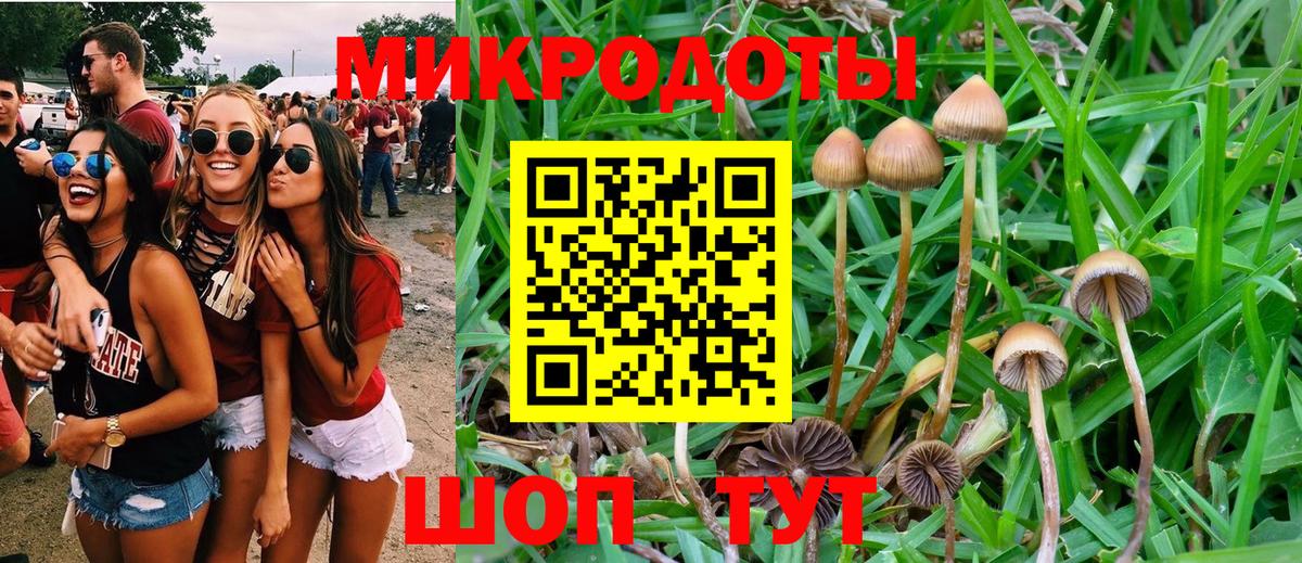 Псилоцибиновые грибы ЛСД Новочеркасск